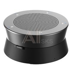 8118750381 Nearity A21S - Спикерфон