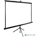 Экран Cactus TriExpert CS-PSTE-160x160-BK 160x160 см 1:1 напольный рулонный