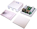 TWT-SM2-4545/S-WH Настенная розетка, 2 порта RJ-45 категории 5е, STP, белая