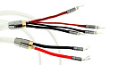 24709 Акустический кабель Atlas Asimi с проводниками на основе серебра 2 x 2, 2.0 м [разъем типа Лопаточка позолоченный]