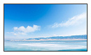 ЖК-панель Exell EXPD-DA55AM5 55"