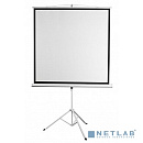 Digis Kontur-D [DSKD-1105] Экран на штативе, формат 1:1, 100", 186x189, рабочая поверхность 180x180, MW