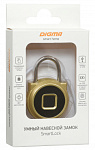1146256 Умный замок Digma SmartLock R1 навесной разбл.отпеч.паль. 100mAh золотистый (SLR1)