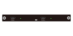 Карта выхода HDMI 4K60 Digibird [DB-VWC2-HP-OC-J4K60HDMI2 *] 2-канальная