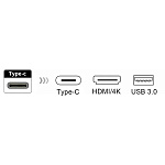 1819710 ORIENT Кабель-адаптер C028, USB3.1 Type-C (DisplayPort Alt mode) -> HDMI+USB 3.0+PD(Type-C), 4K@30Hz, 0.15 метра, серебристый (31062)
