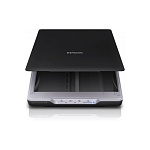 1359387 EPSON Perfection V19 [B11B231401/B11B231503] {А4, 4800x4800,USB 2.0}