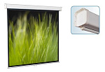 SGM-4304 Настенный экран Goldview 244*183 MW