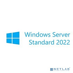 Windows Svr Std 2022 English 1pkDSP OEI 4Cr NoMedia/NoKey(POSOnly)AddLic