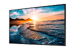121875 Профессиональный дисплей Samsung [QH43R] 3840х2160,4000:1,700кд/м2,проходной HDMI,Tizen 4.0