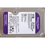 1996672 1TB WD Purple (WD11PURZ) {Serial ATA III, 5400- rpm, 64Mb, 3.5"}