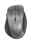 22878 Trust Wireless Mouse Ravan, USB, 800-1600dpi, Black [22878]