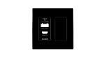 134171 Лицевая панель для приемника WP-789R/US-D(W) Kramer Electronics [WP-789R US PANEL SET] цвет черный