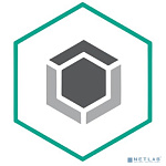 KL4863RASFE Kaspersky Endpoint Security для бизнеса – Стандартный 150-249 users Educational License