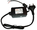 6106602 12W/12V/1A