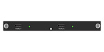 Карта входа HDMI 4K60 Digibird [DB-VWC2-HP-IC-4K60HDMI1] 1-канальная