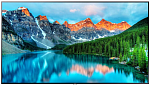 LH50BETHLGUXRU Samsung 50" BE50T-H