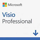 Л00016209 Лицензия на ПО/ Visio Pro 2019 Win All Lng PKL Online DwnLd C2R NR