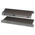 107780 SC&T PR816 Блок питания на 16 каналов для монтажа в 19'' стойку 1U, AC 24V, 1 A/канал (макс
