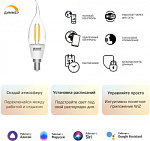 Умная лампа Gauss IoT Smart Home E14 4.5Вт 495lm Wi-Fi (упак.:1шт) (1260112)
