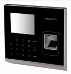 1006021 Терминал доступа Hikvision DS-K1T502DBFWX-C