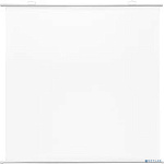 Экран Cactus 150x150см Map type CS-PSRM-150x150-WT 1:1 настенно-потолочный рулонный белый