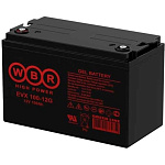 11006933 WBR Батарея Тяговый аккумулятор EVX100-12G (12V/100 Ач)