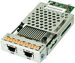 RER10G0HIO2-0010 EonStor host board with 2 x 10Gb/s iSCSI(RJ-45) ports, type1 for GS 1000,DS 1000/2000