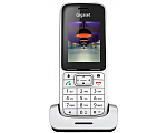 S30852-H2751-S301 GIGASET SL450HX