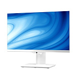 11004211 Rombica Apollo [pcai-0031] White 23.8" {FHD Ryzen 7 5800U/8Gb/1Tb SSD/AMD Radeon/Win 11 Pro}