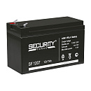 Аккумуляторная батарея DELTA Secuirity Force SF 1207