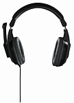 432261 Наушники с микрофоном Hama Offbeat серый 2м мониторные оголовье (00053983) 432261 Наушники с микрофоном Hama Offbeat серый 2м мониторные оголовье (00053983)