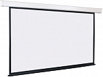 2005241 Экран Lumien 208x300см Master Control LMC-100216 16:9 настенно-потолочный рулонный белый (моторизованный привод)