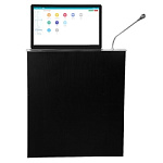 TS-F173MT, ультратонкий моторизированный LCD монитор 17.3" с микрофоном TS-F173MT, ультратонкий моторизированный LCD монитор 17.3" с микрофоном