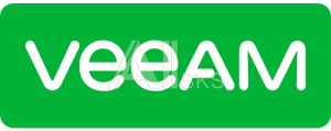 R0E82AAE Veeam Backup and Replication Enterprise Plus Perpetual Additional 4-year 24x7 Support (Analog V-VBRPLS-VS-P04PP-00)