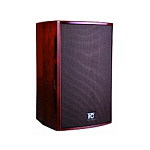 TS-710 High-end громкоговоритель,10", 300W@8Ω, дерево