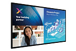 Интерактивный дисплей Philips [65BDL6051C/00] 3840х2160,1300:1,350кд/м2,10 касаний,Android 9