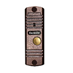 1831136 Falcon Eye FE-305C/2 FE-305C (медь/BROWN). Цветная вызывная панель видеодомофона (накладная), ИК подсветка {00-00105832}