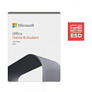 Л00016203 Лицензия на ПО/ Microsoft Office Home and Student 2021 ESD All Lng PKL Online CntlEastEu DwnLd C2R NR