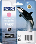 1037223 Картридж струйный Epson T7606 C13T76064010 светло-пурпурный (2800стр.) (25.9мл) для Epson SureColor SC-P600