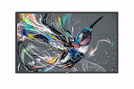 50BDL3550Q/00 49,5" Philips 50BDL3550Q 18/7 VA 3840x2160 16:9 8ms 178/178 400cd 1300:1 500 000:1 VGA 2*HDMI DVI 2*USB2.0 RJ45 RS232C IR Speakers Android 8.0 HTML5 b