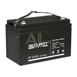 Аккумуляторная батарея Secuirity Force SF 12100