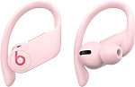 1000573639 Наушники Powerbeats Pro Totally Wireless Earphones - Cloud Pink