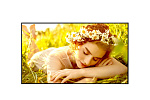 ЖК-панель LG 65UL5Q-M 65''