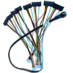 Кабель DiliVing DL-8654-SAS29 Slimline SASx8 (SFF8654) -to- 8x SAS29 , 100CM