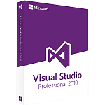 Л00016248 Лицензия на ПО/ Visual Studio 2019 Professional