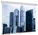 LEP-100118 Настенный экран Lumien Eco Picture 164х240см (рабочая область 130х232 см) MW восьмигранный корпус, возможность потолочн./настенного крепления, уровень