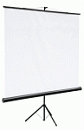 Экран на штативе Digis DSKC-1102 (Kontur-С, формат 1:1, 100", 180*180, MW)