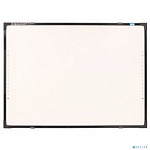 IQBoard DVT TN060 Интерактивная доска 60", цифровые камеры, 10 касаний, USB, 4:3, 14кг win8