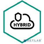 KL4155RATFS Kaspersky Security для виртуальных и облачных сред, Desktop Russian Edition. 250-499 VirtualWorkstation 1 year Base License