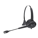 W300 защищенная, моно, 30м Bluetooth, от -20 до +50 град, 2 аккумулятора